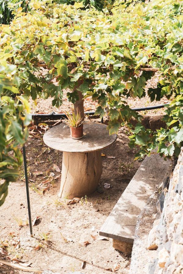Casa Rural Los Madronos Vallehermoso Zewnętrze zdjęcie